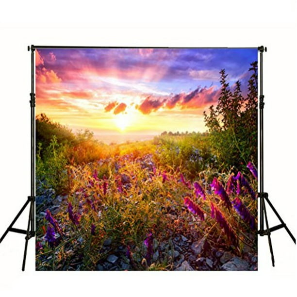 10x5ft Spring Scenic Backdrop Polyester Sunrise Rainbow Purple Flowers Field Remote Continuous Snow Mountains Photography Background Exploration Child Adult Vacation Shoot Landscape Poster